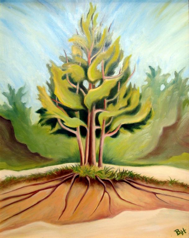 Cedar Tree on Dunes, oil on board