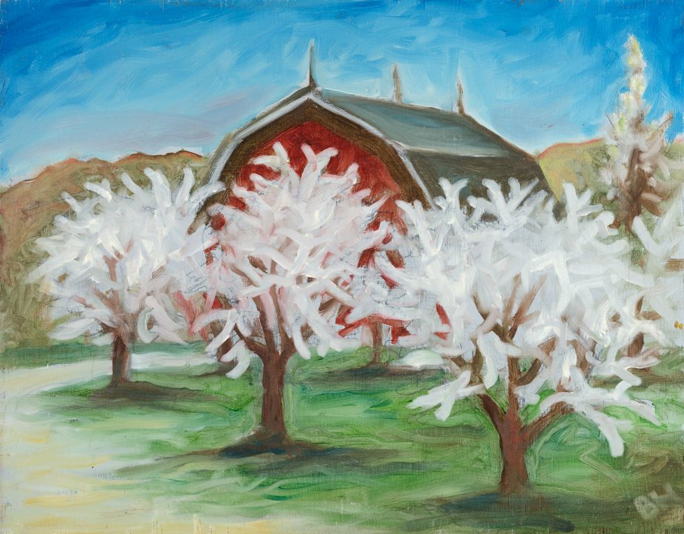 Blossoms and Barn, oil on panel, 11"H x 14"W