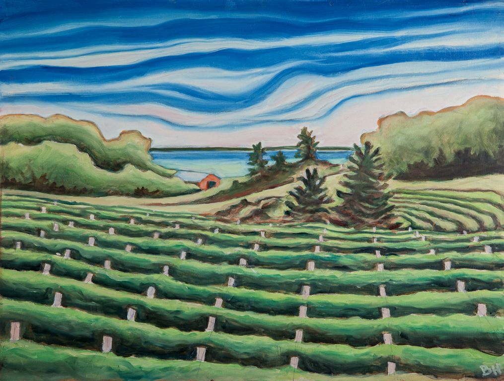 East Bay Vineyard, oil on board